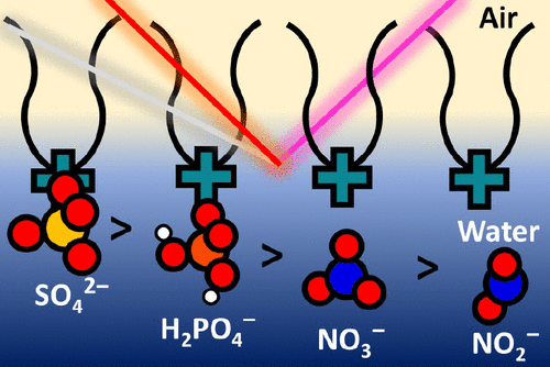 Molecular recognition and hydration energy mismatch combine to inform ion binding selectivity at aqueous interfaces